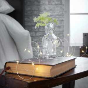 Silver Wire Battery Seed String Fairy Lights - Warm White