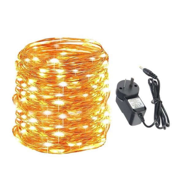 80m copper plug in seed ww